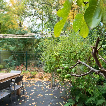 Park Central Royal 82 * Гаага