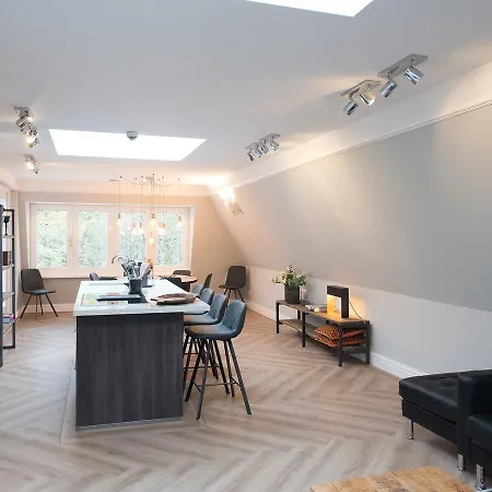 Bizstay Park Executive Apartment The Hague