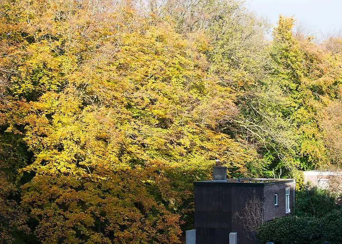 Apartamento Park Royal 82 *